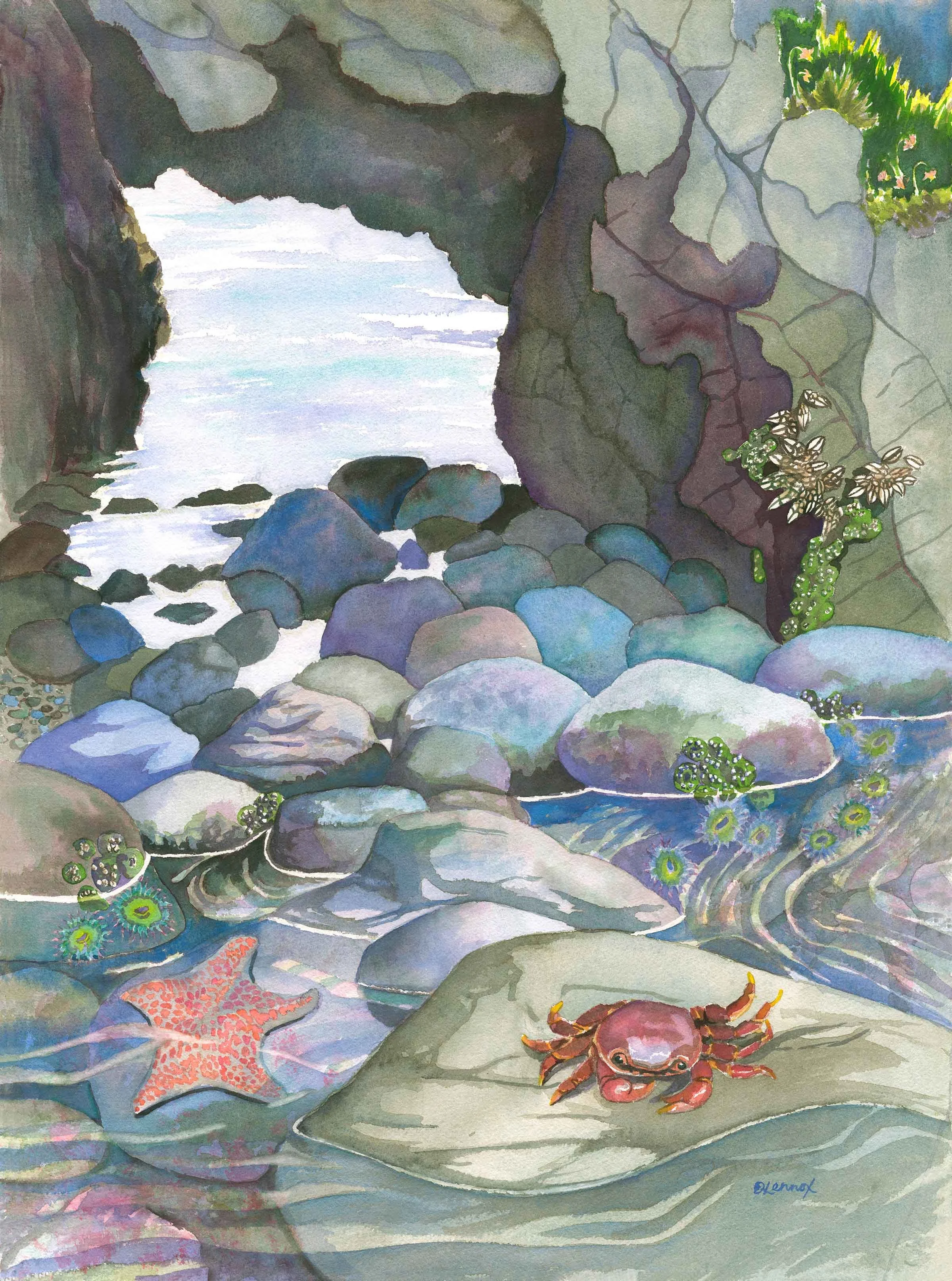 Low Tide at Russian Gulch