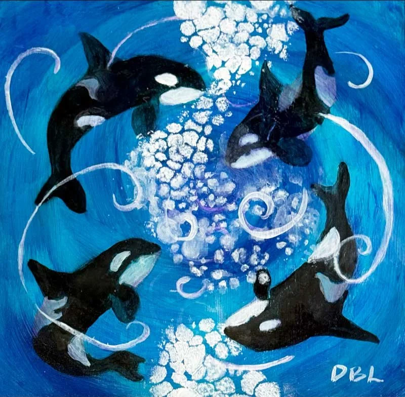 Orca Spiral