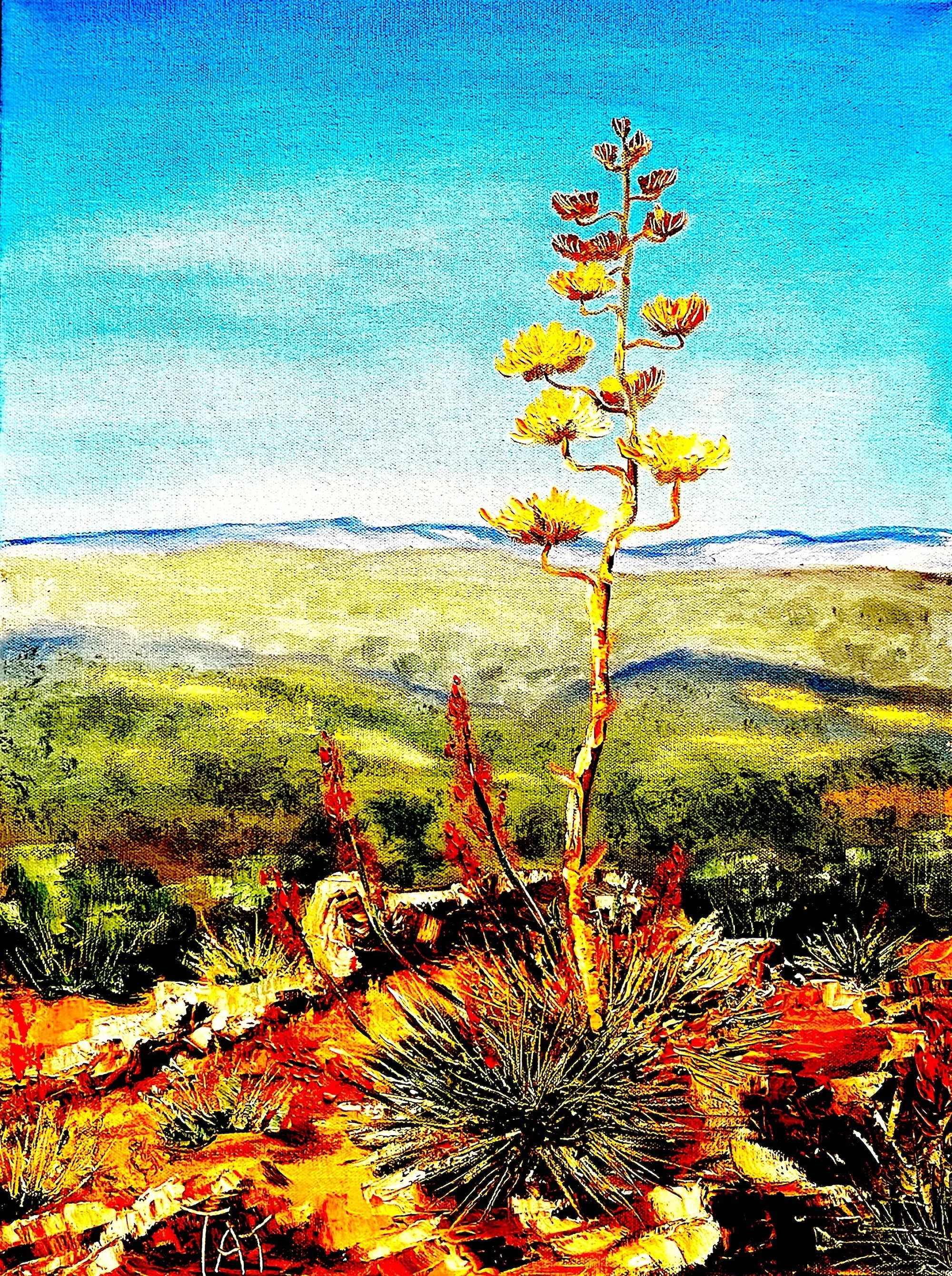 Beautiful New Mexico copy.JPG