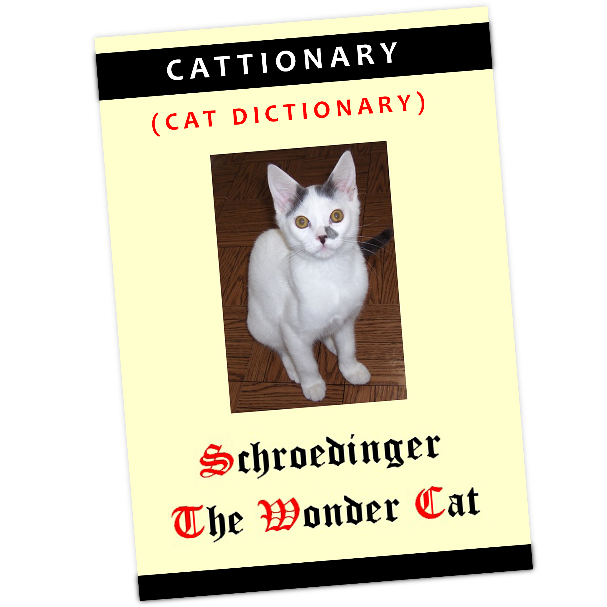 Wisdom from Schroedinger's Cat Dictionary (CATTIONARY) — Schroedinger
