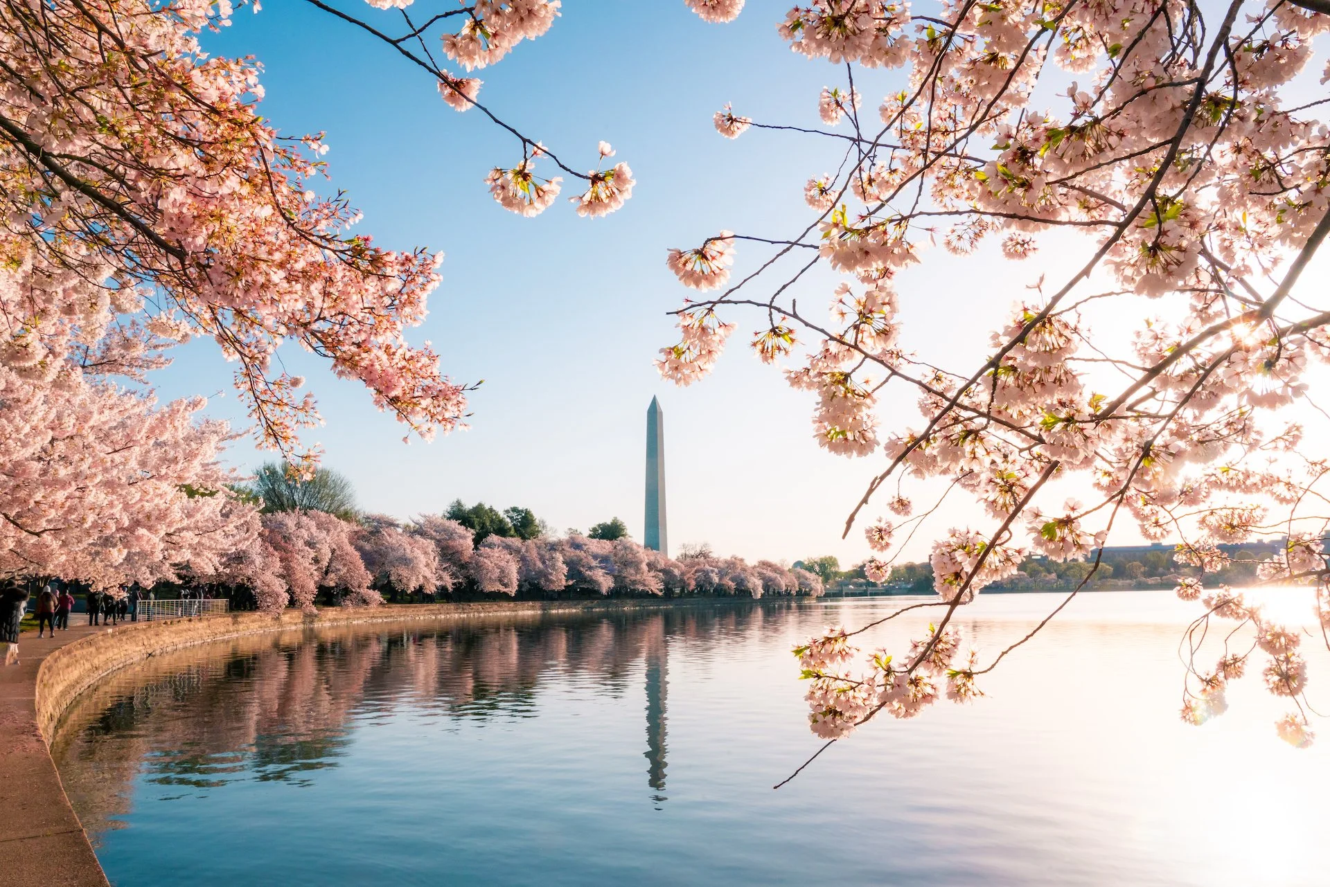 DSC03102-Edit copy.jpg