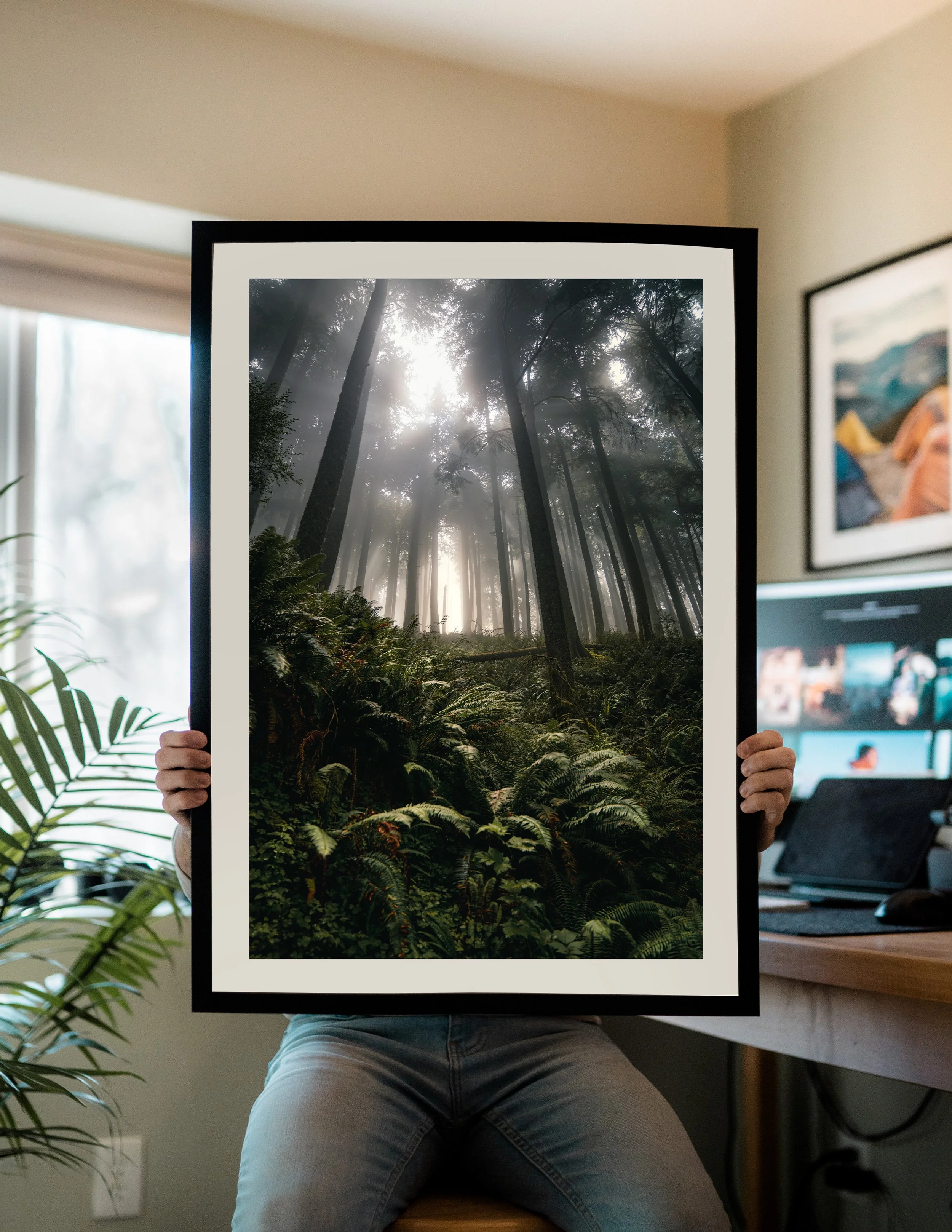 Shining Through | Oregon Forest