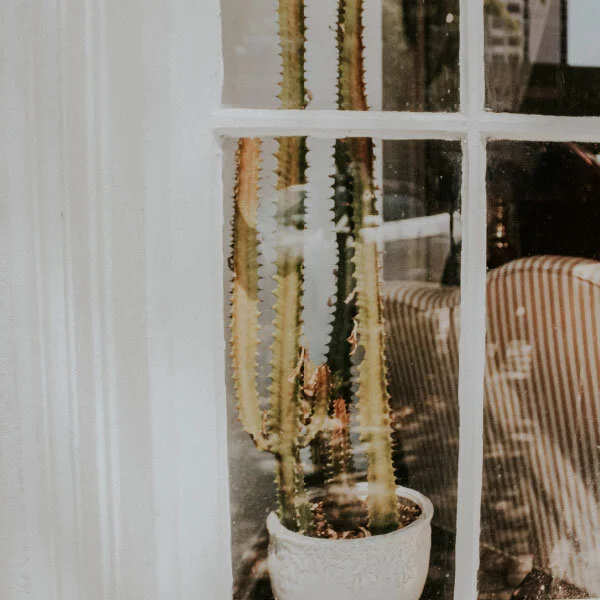 05-Instagram-Post-04.jpg