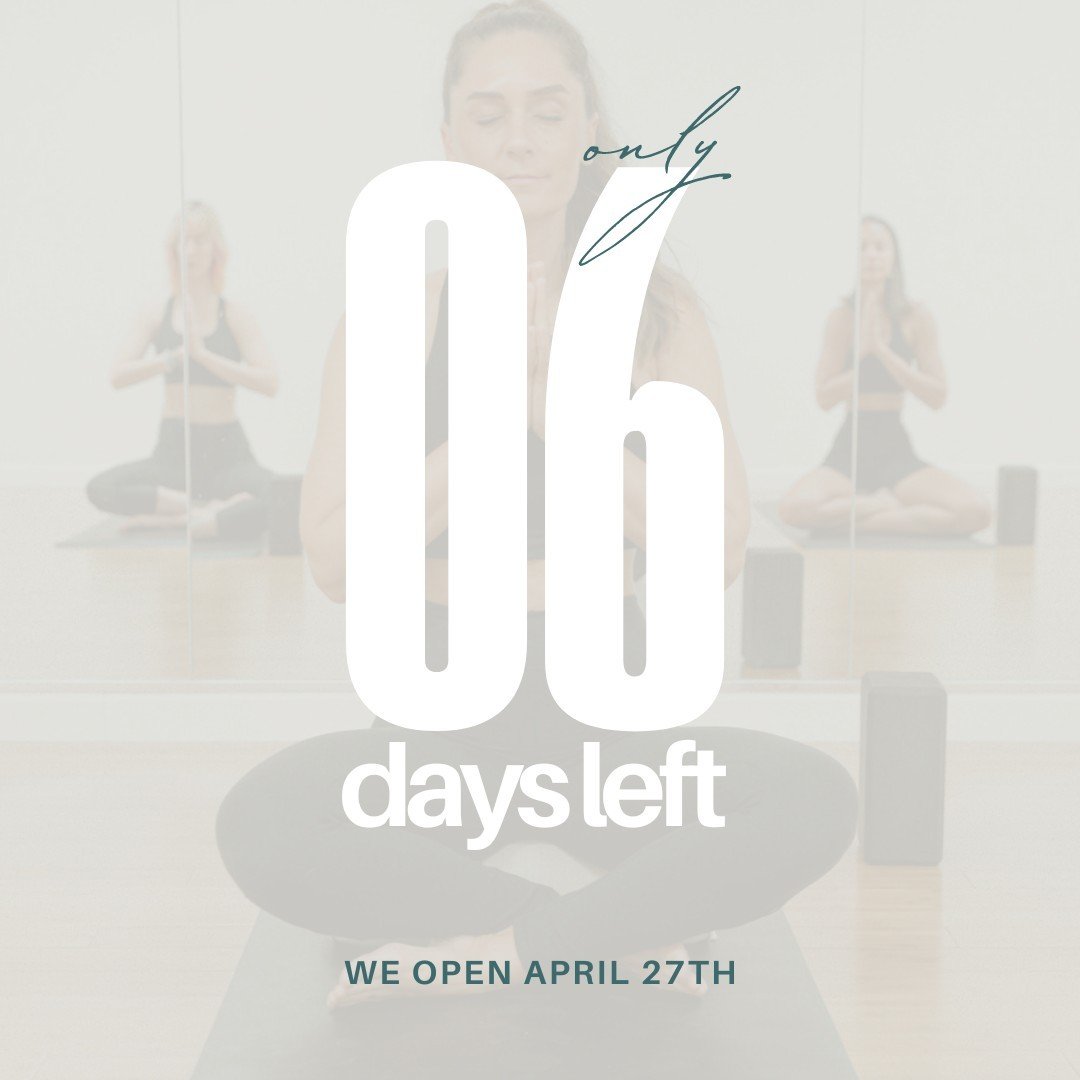 6 days before our opening 🎊 swipe for the schedule of free classes 👉️⁠
.⁠
.⁠
.⁠
.⁠
.⁠
.⁠
#sarasota #florida #yogastudiosarasota #srq #srqlife #sarasotayogastudio #floridayoga #yogateacher #floridayogateacher #ytt #yogateachertraining #200hourytt #3