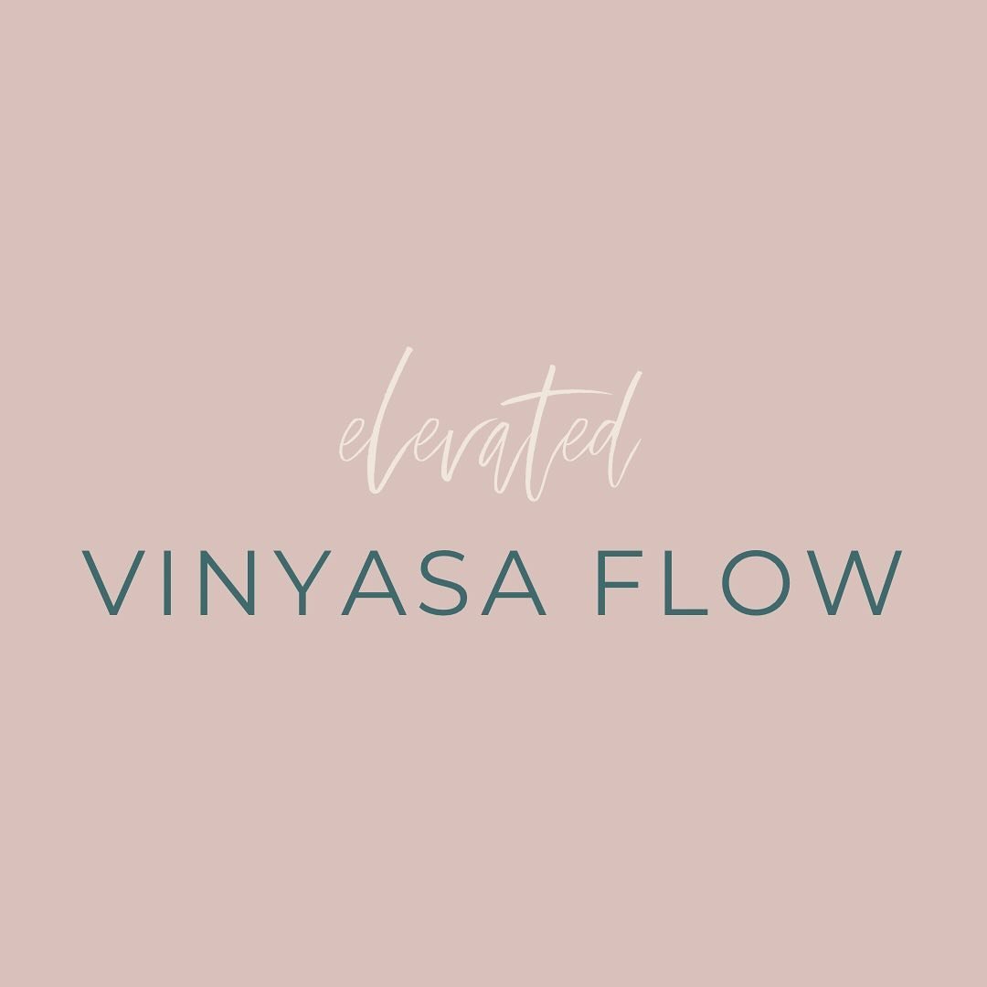 You won&rsquo;t find a class out here like it&hellip; 😊
.
It&rsquo;s one of the reasons we started Bloom&mdash; to bring this style of flow to the community of Sarasota.
.
Take your yoga to the next level as you elevate your practice in this heated 