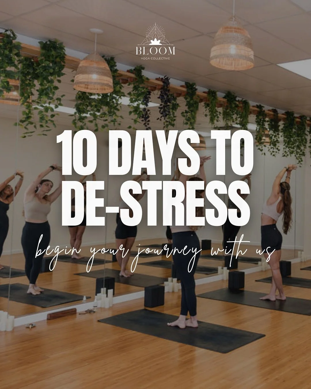 ✨ Take 10 days to slow down, reset, and reconnect. At Bloom Yoga Collective, yoga is more than movement &mdash; it&rsquo;s a practice for mental clarity, physical strength, and genuine community. Our space is here in Sarasota to help you de-stress, f