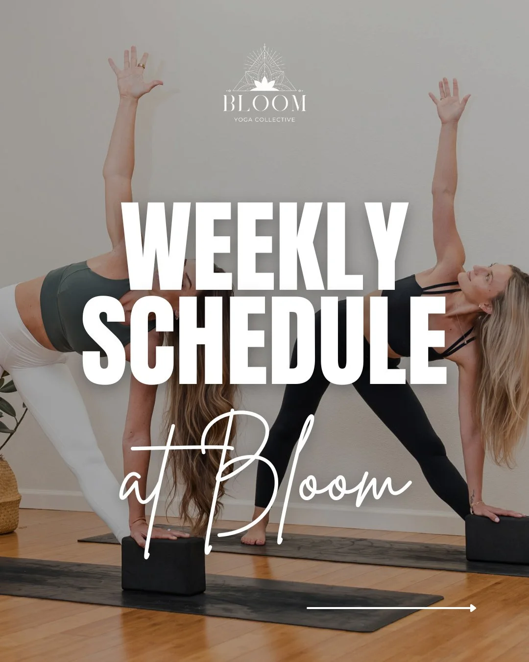 Your week at Bloom 🌸�A little strength, a little flow, a lot of intention.⁠
⁠
At Bloom, our yoga studio schedule is intentionally designed so you only need one membership to build strength, increase flexibility, and support your mind. Every class co