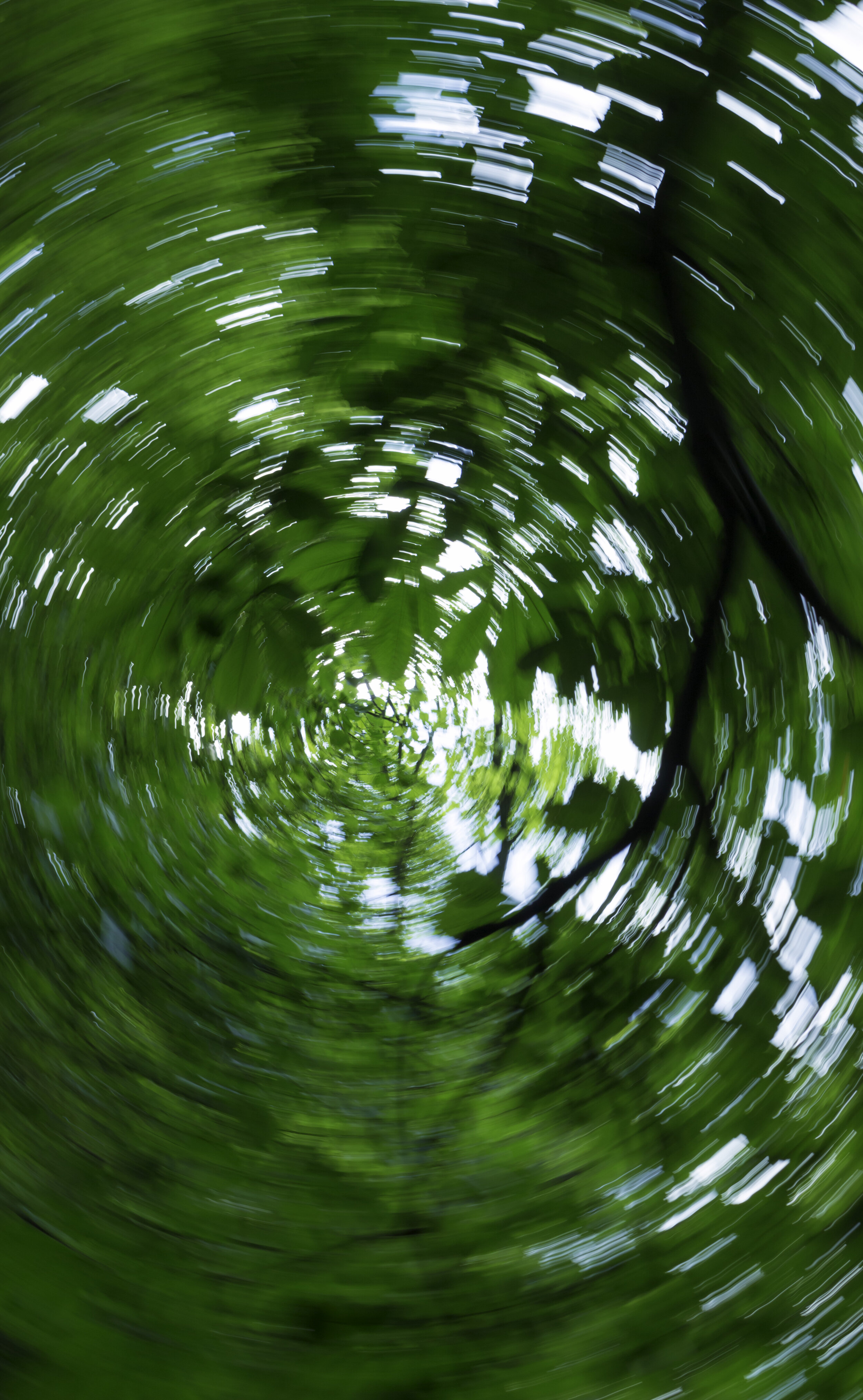 5 krasnal.jpg