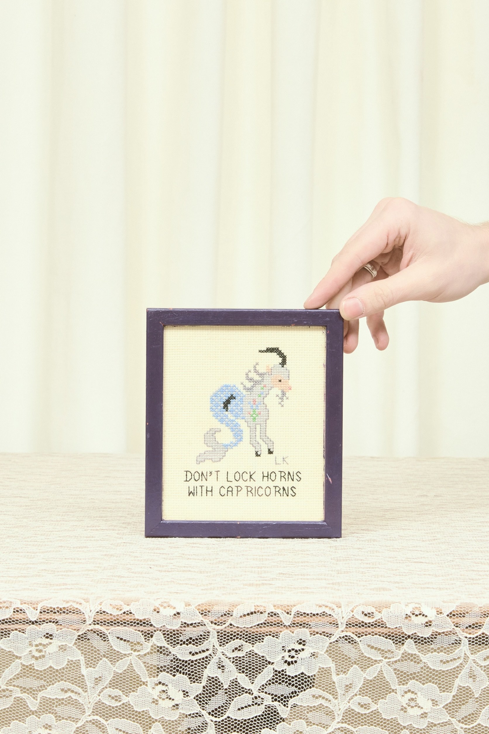 Vintage "Don't Lock Horns with Capricorns" Needlepoint