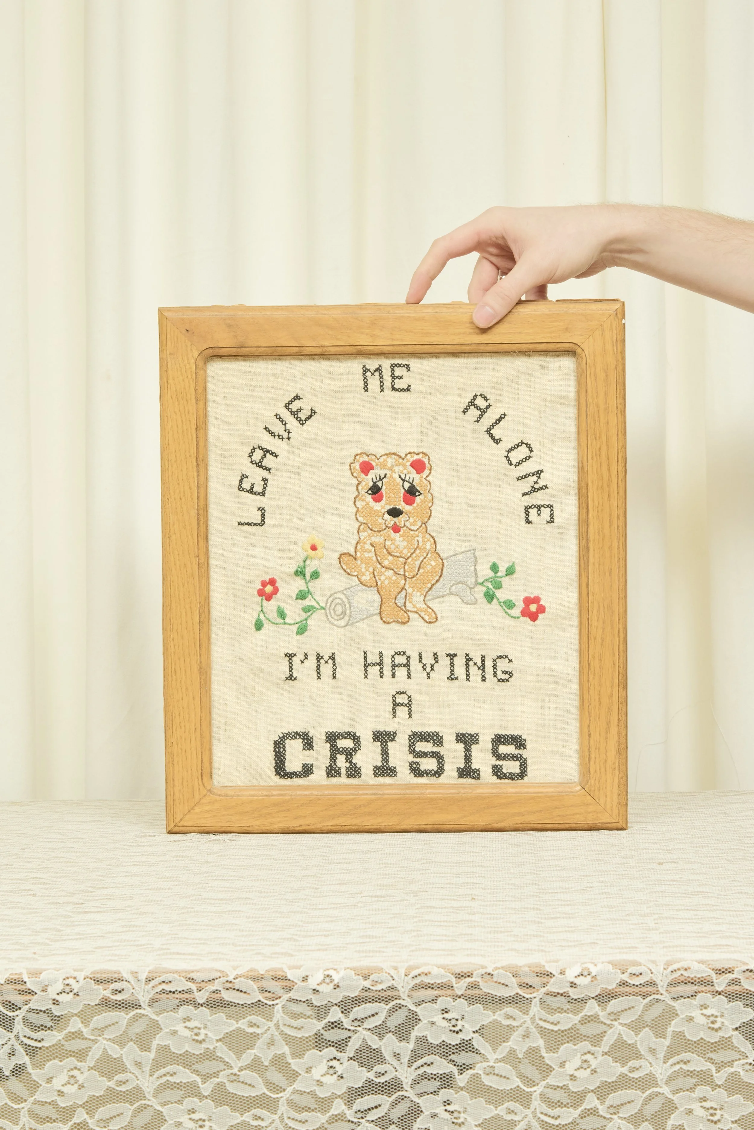 Vintage "I'm Having a Crisis" Framed Cross Stitch