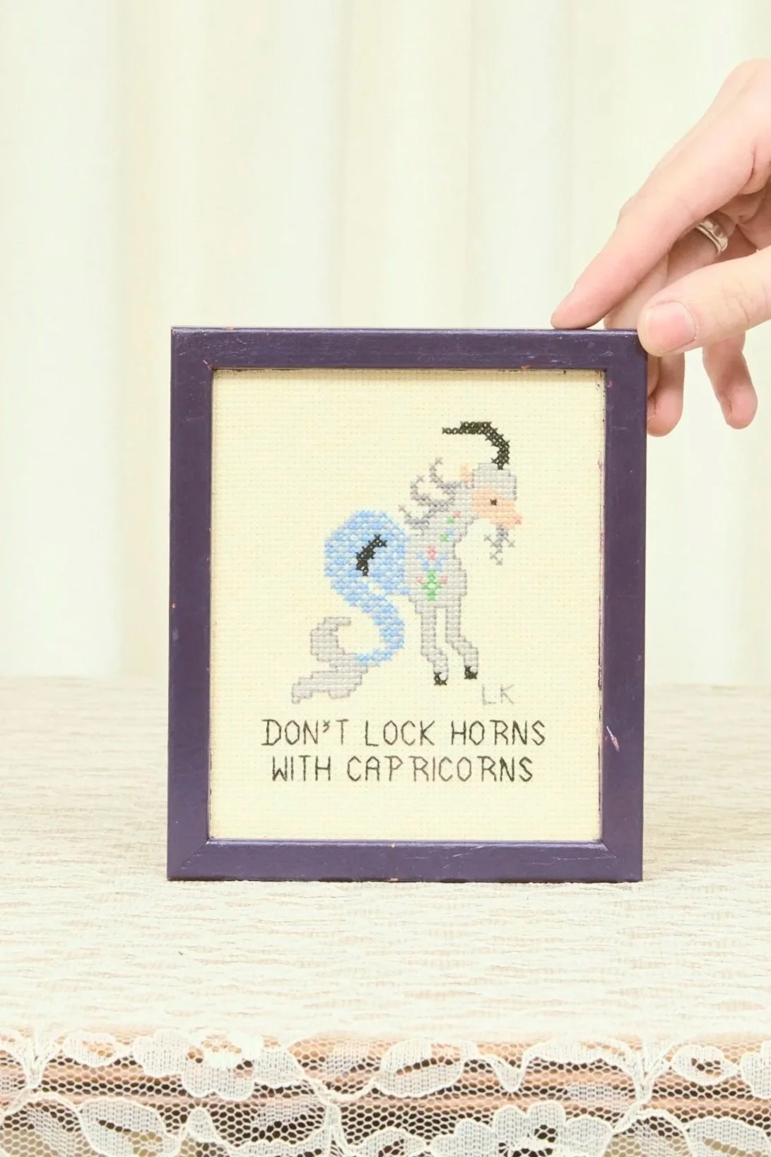 Vintage "Don't Lock Horns with Capricorns" Needlepoint