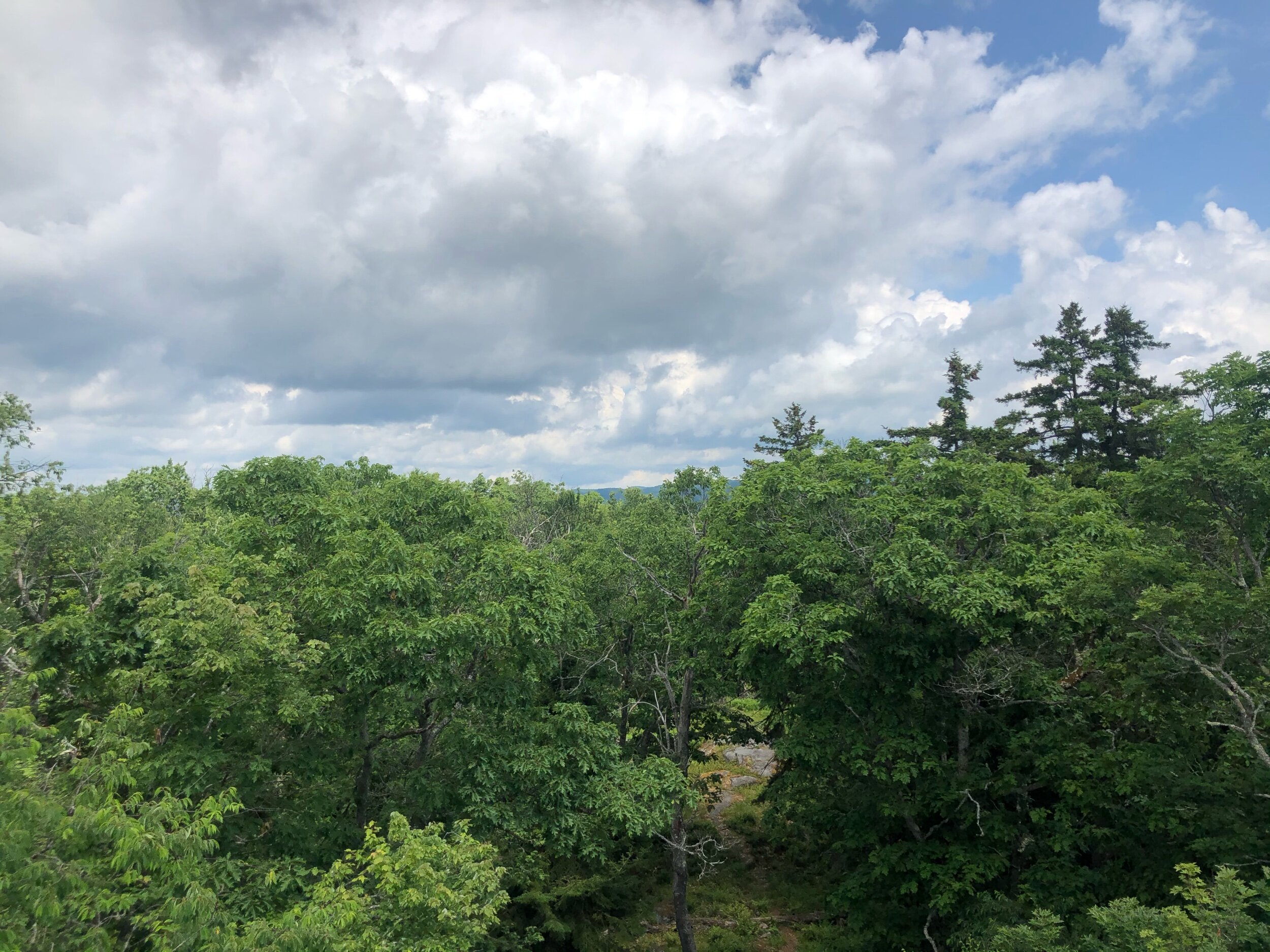 IMG_0900.jpeg