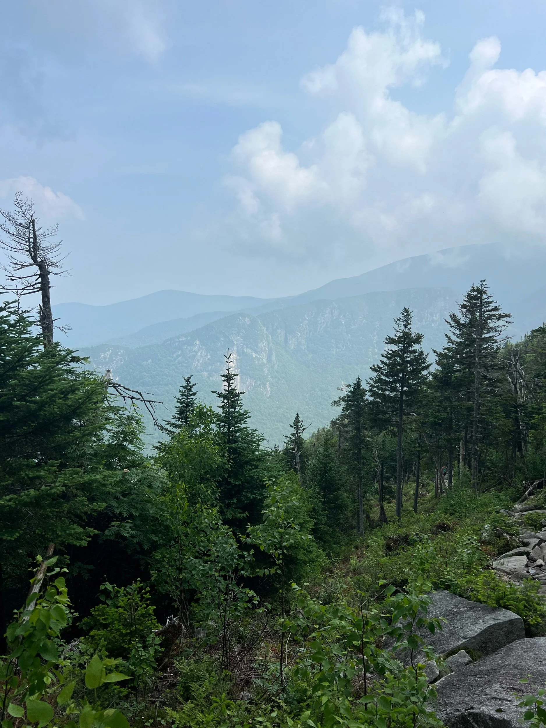 IMG_4676.jpeg