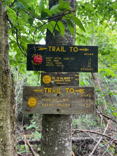 Hopkins Mtn via Mossy Cascade + Giant Mtn Lean-to 
