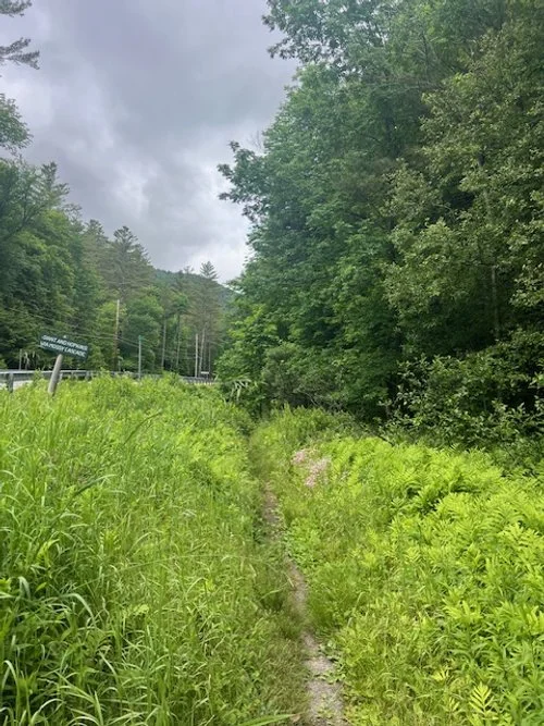 mossy cascade trailhead.jpeg