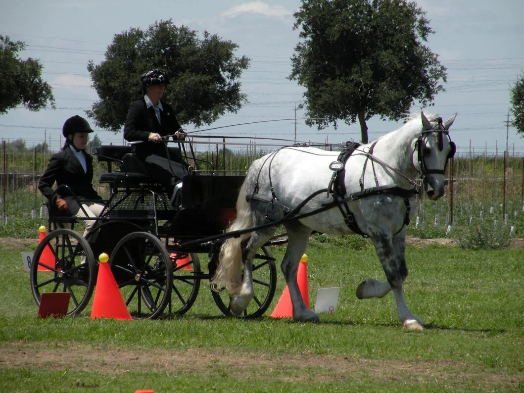 Lodi09 Wilton 096.JPG