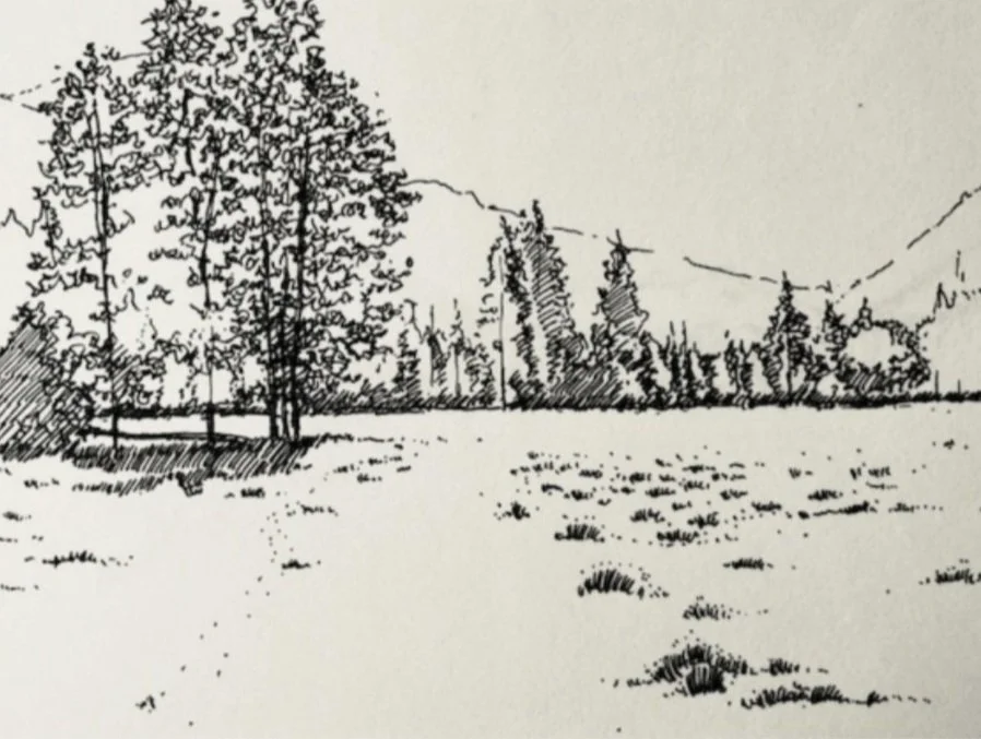 Landscape Sketch