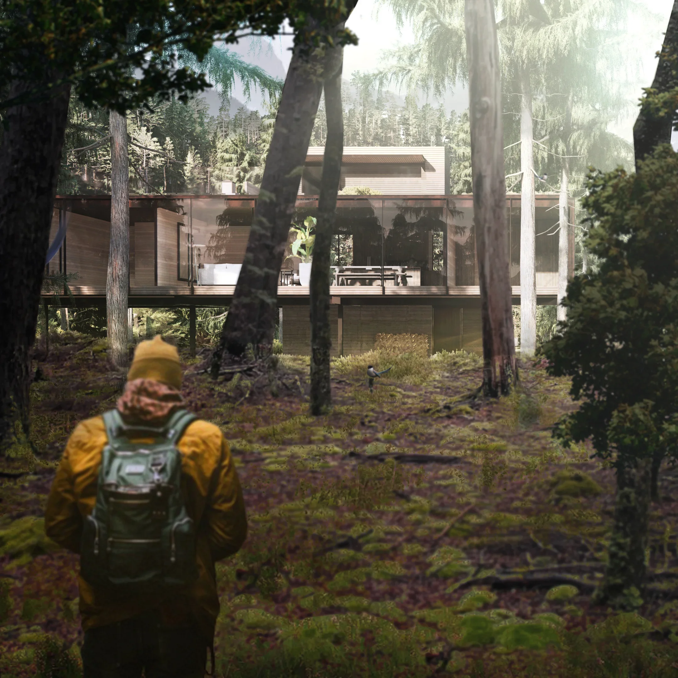 House 3.webp