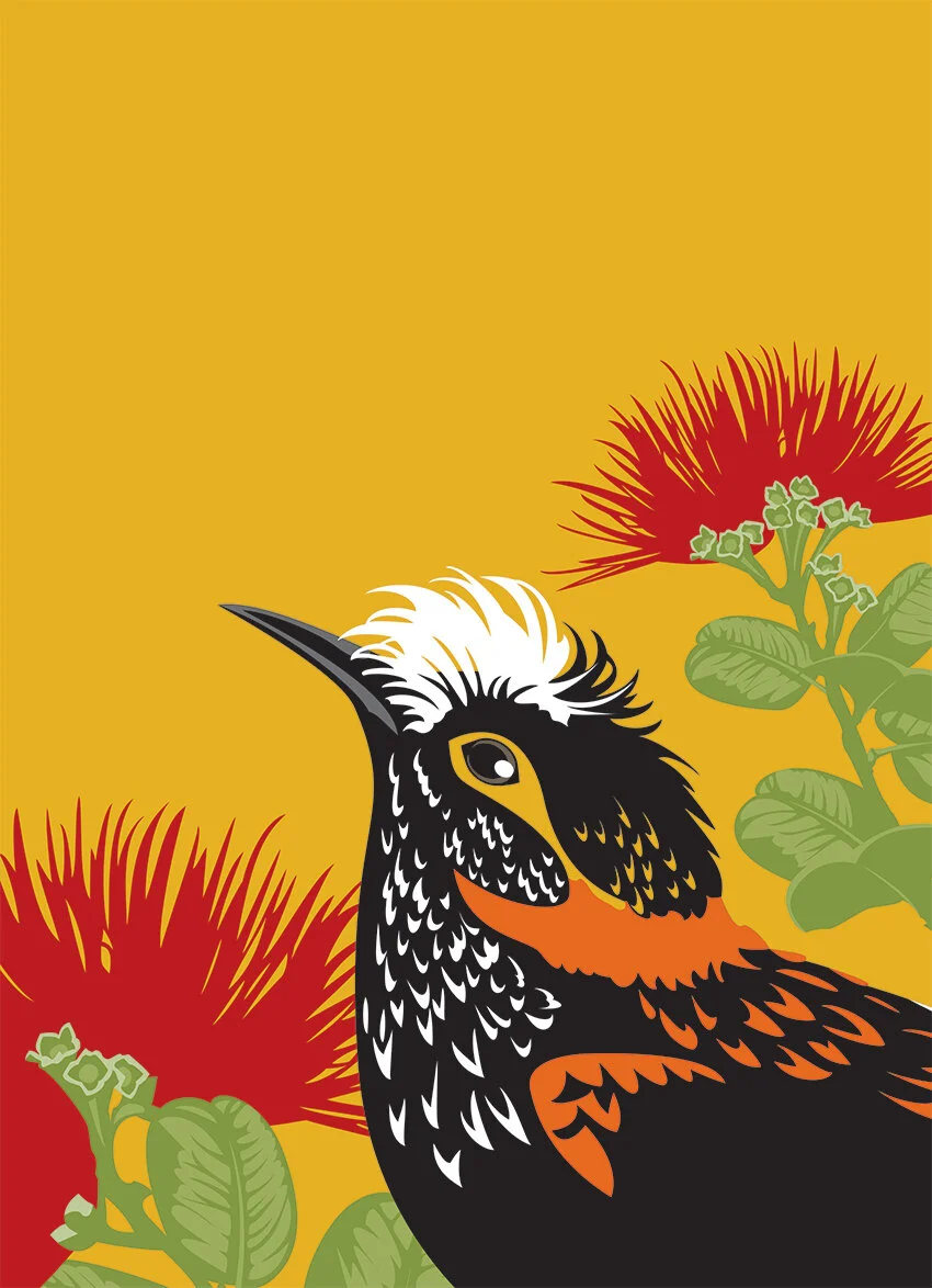 Illustration_PaperCutOut_BOHI_Akohekohe_OhiaLehua_Art.jpg