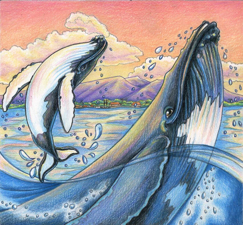 Illustration_Paint_AllAroundIslans_Whales_ChildrensBook_Art.jpg
