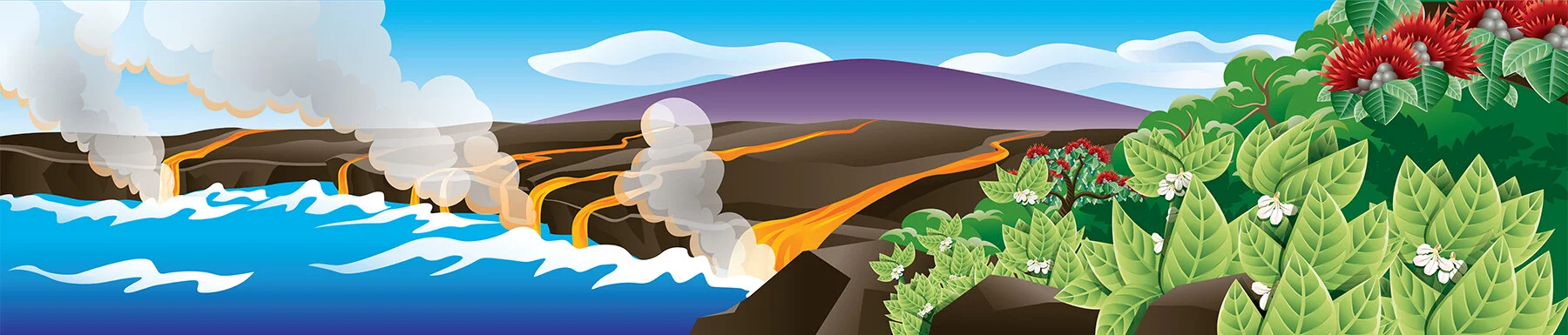 Illustration_Digital_Foodland_MilkJuice_Mural_Art.jpg