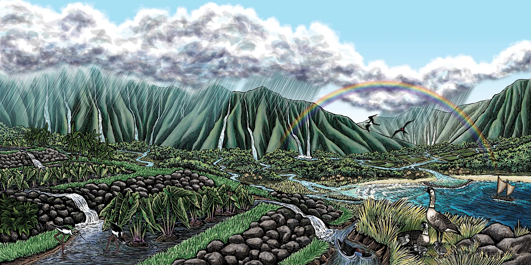 Illustration_ScratchBoard_HGV_Ahupuaa_WaterStation_Art.jpg