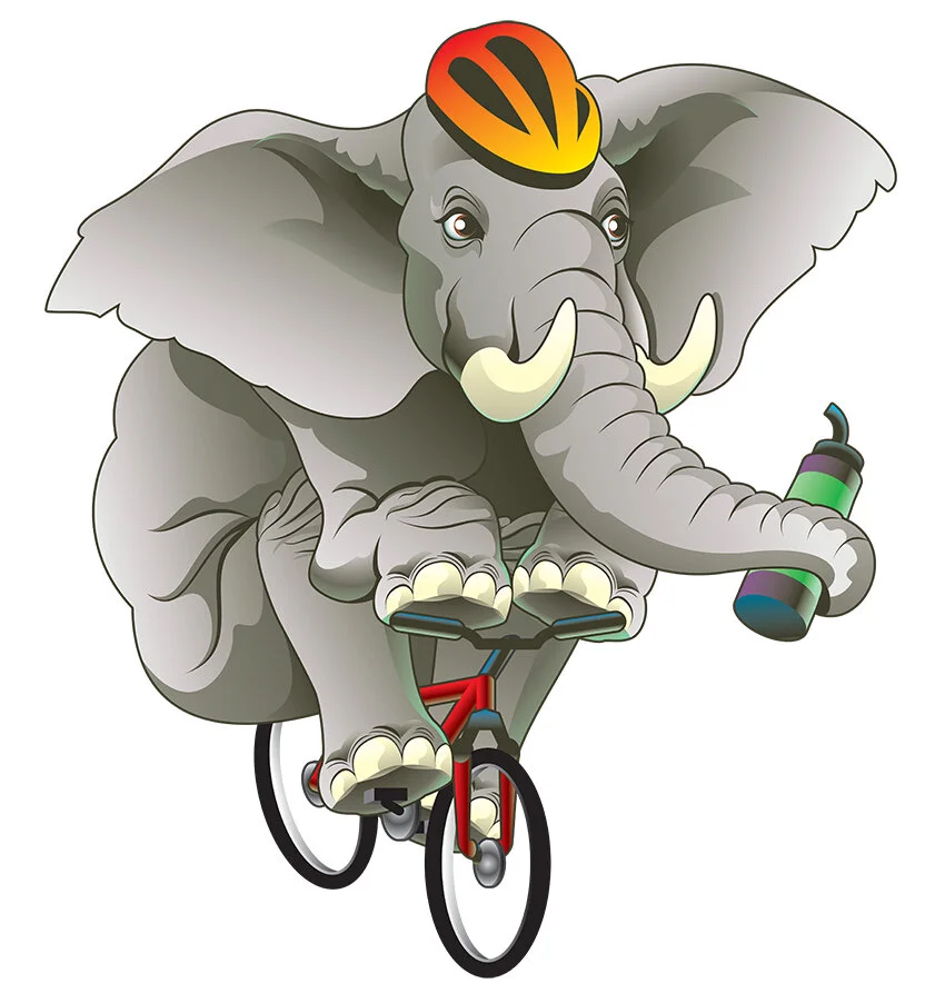 Illustration_DigitalWhimsy_DeptTransHI_ElephantBike_Art.jpg