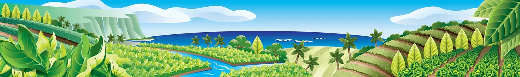 Illustration_Digital_FoodLand_Produce_Mural_Art.jpg
