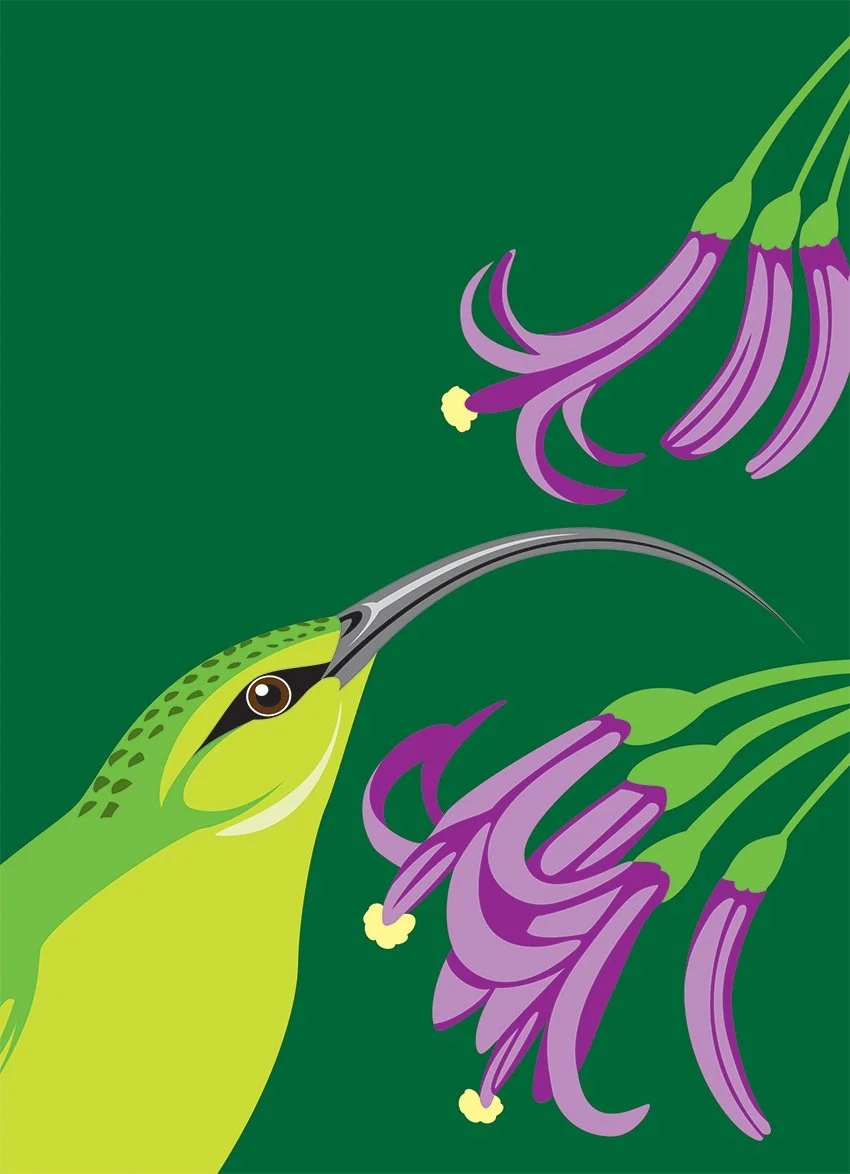Illustration_PaperCutOut_BOH_Akialoa_Lobelia_Art.jpg