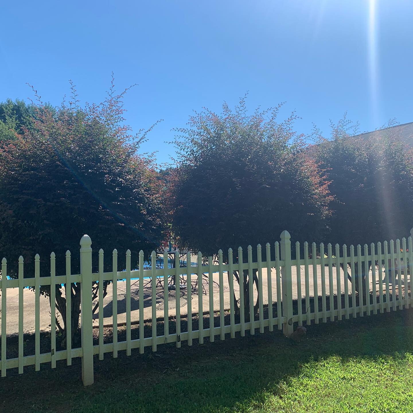 Clean shrubs and striped lawns on this 100 degree day🔥😎
#heatstroke #summerdays #lawnstripes