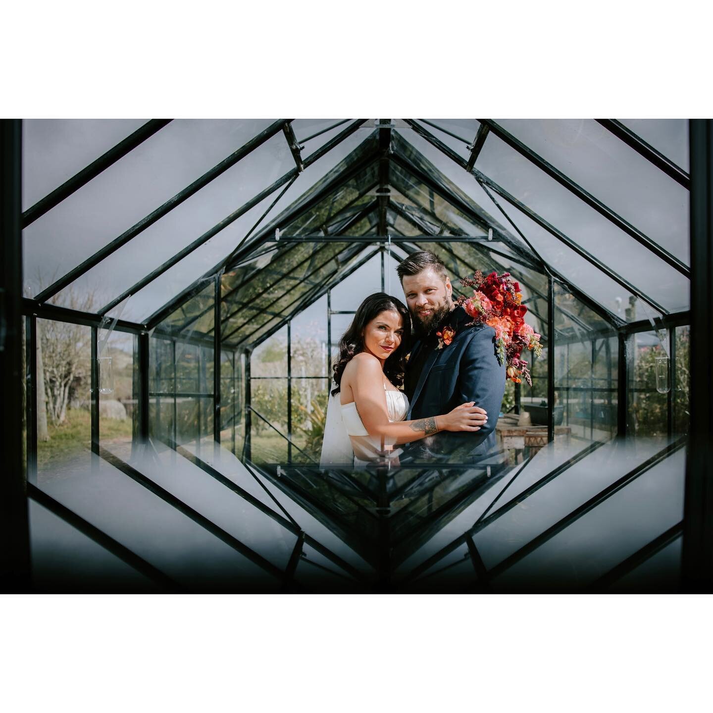 How dammm cool is this shot of Kristy and Elliot! 
💚
Wed by @ecowednz on 10/10/2023 and the wonderful Lara captured this stunner at @littlewildernessnz in the glasshouse!
💚
These stunning 30 person wedding packages are still available in 2024 from 