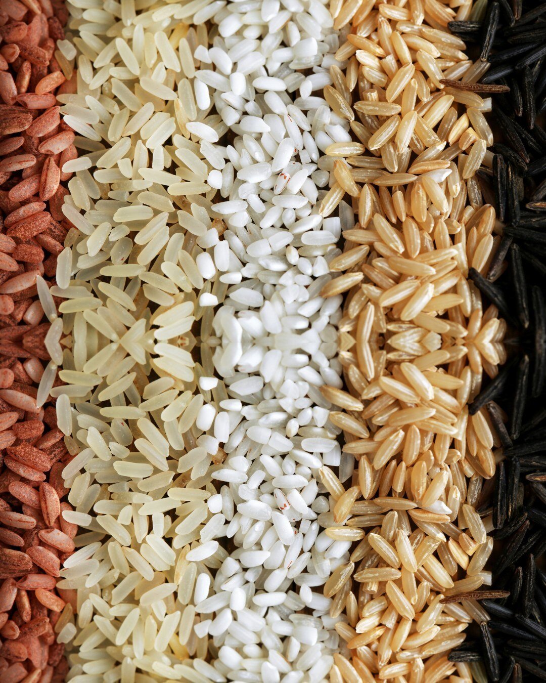 This month we're loving all things rice! Rice is the world's third most produced grain, and you better believe it comes in a rainbow of colours, shapes and sizes. Visit us to stock up and give them all a go 🌾