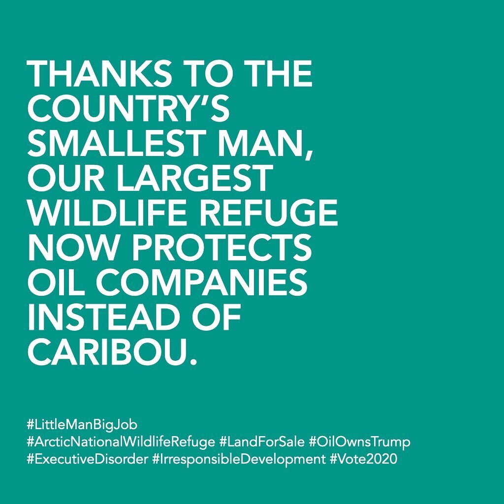 The little man just gave the Arctic National Wildlife Refuge to his largest donors. Turns out it wasn&rsquo;t enough to risk the lives of 328 million Americans, now he&rsquo;s signed an executive order to let big oil destroy the lives of polar bears,