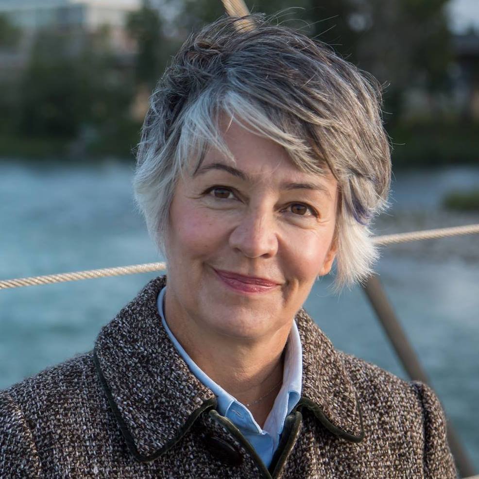 Druh Farrell, Calgary City Councillor