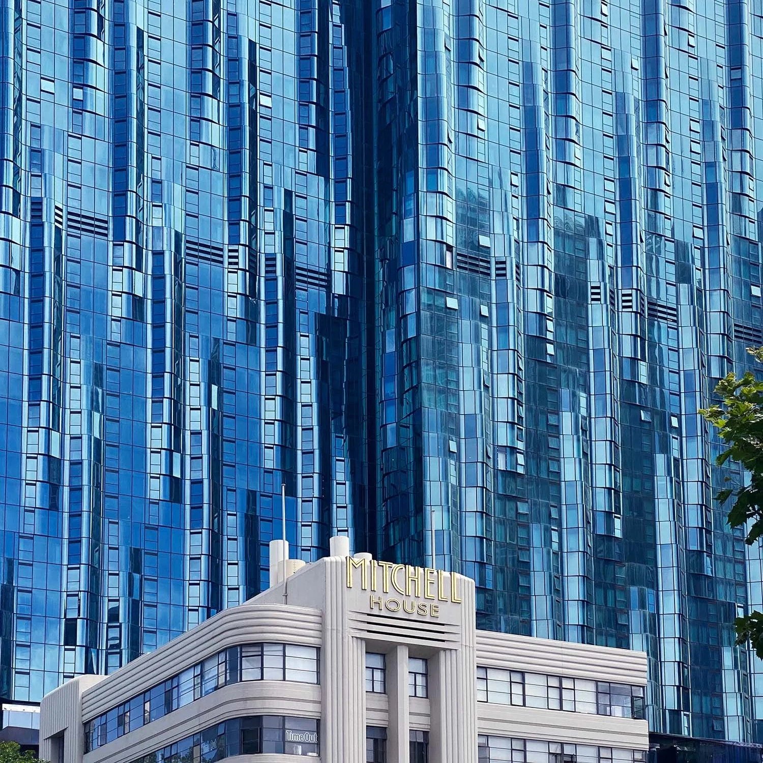 Elenberg Fraser - Ripple Building