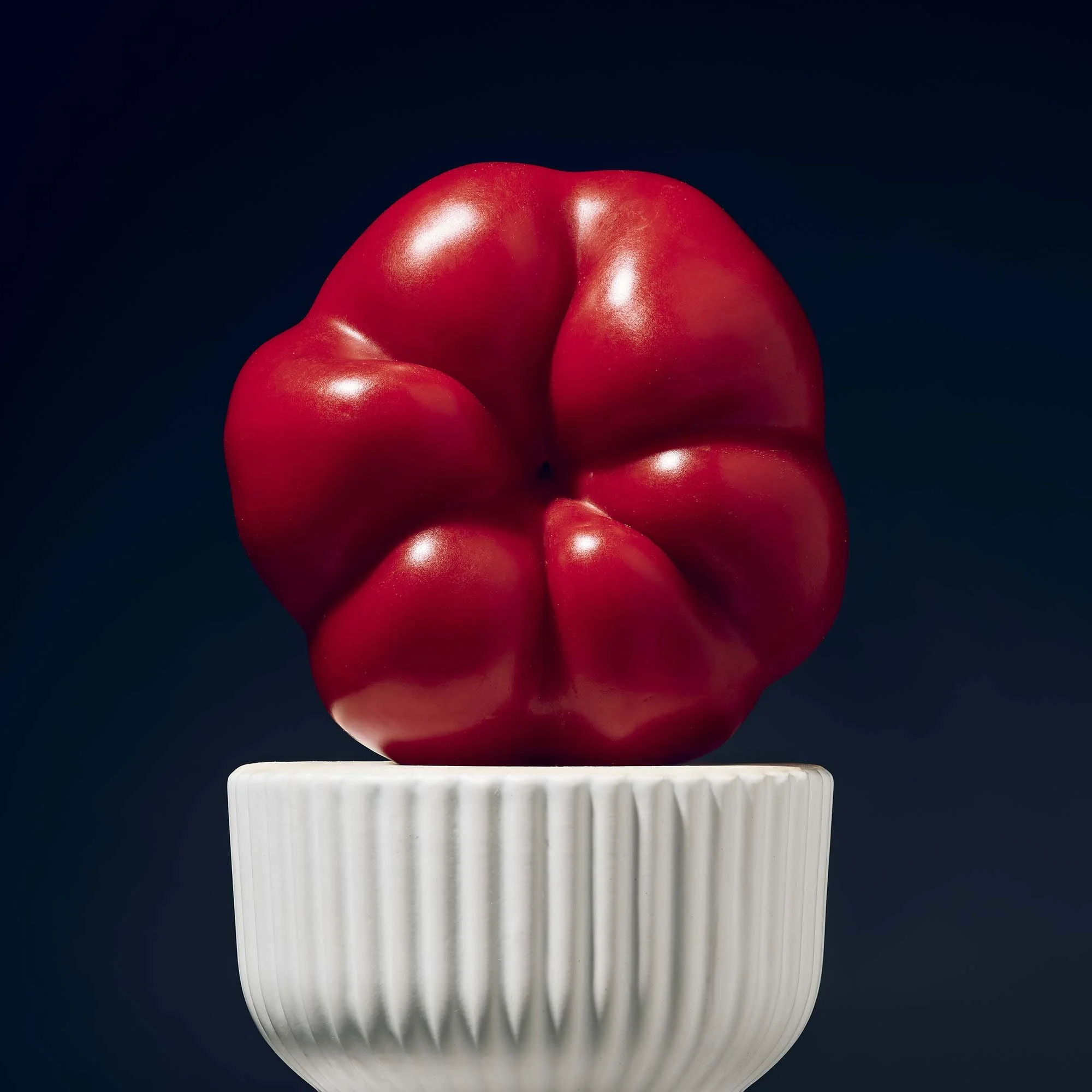 2025-08-20 11-19-41 (B,R8,S4) for web.jpg