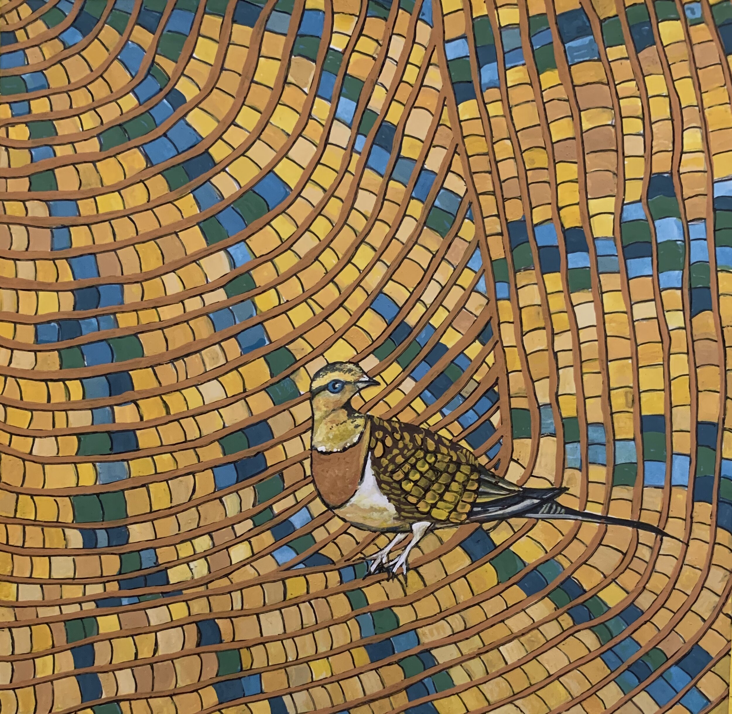 Pin Tailed Grouse