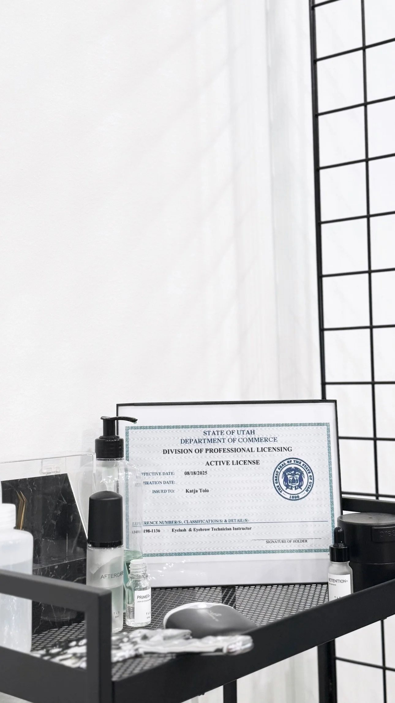 Lash & Brow Apprenticeship Program