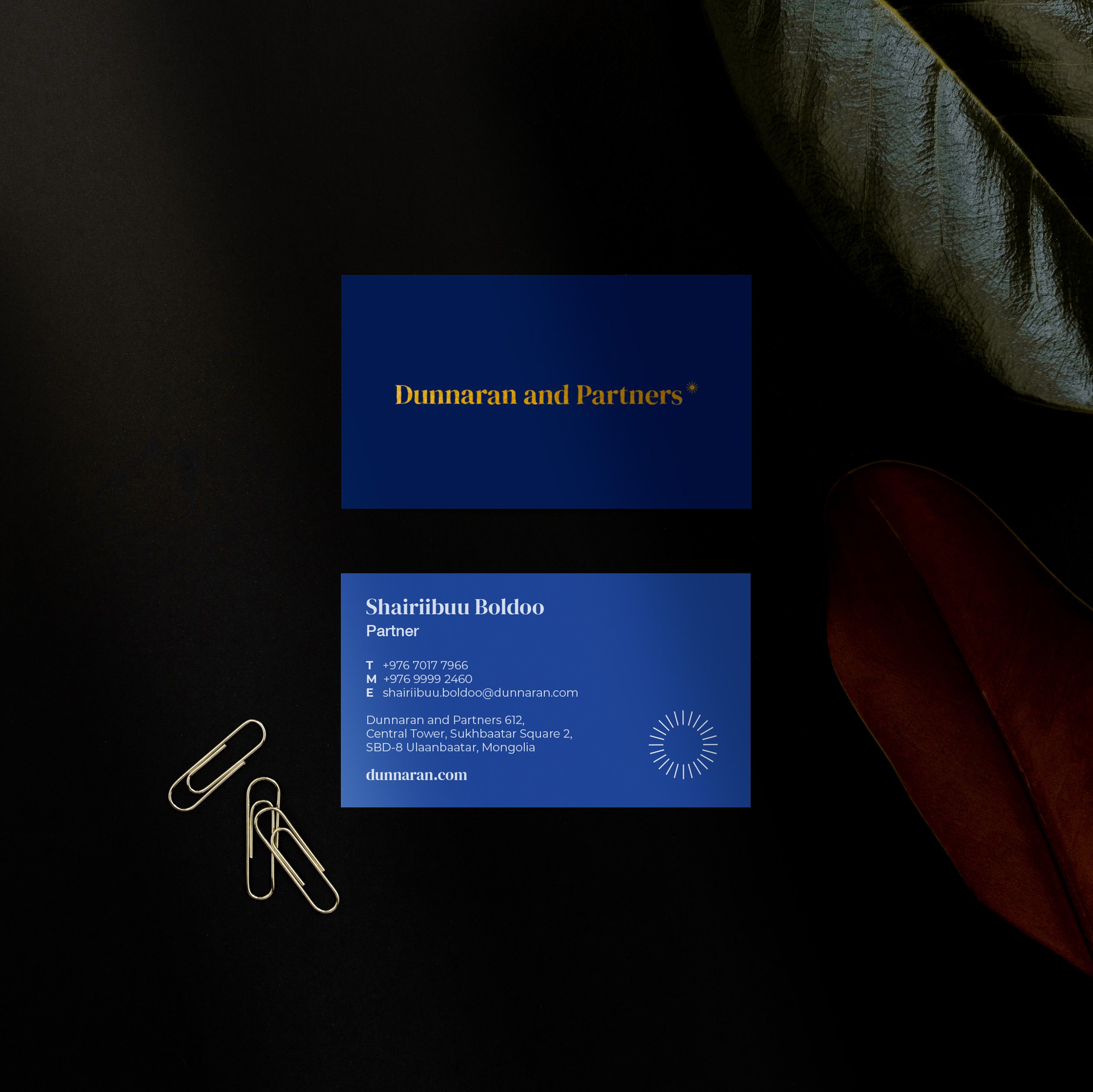 Business cards.jpg