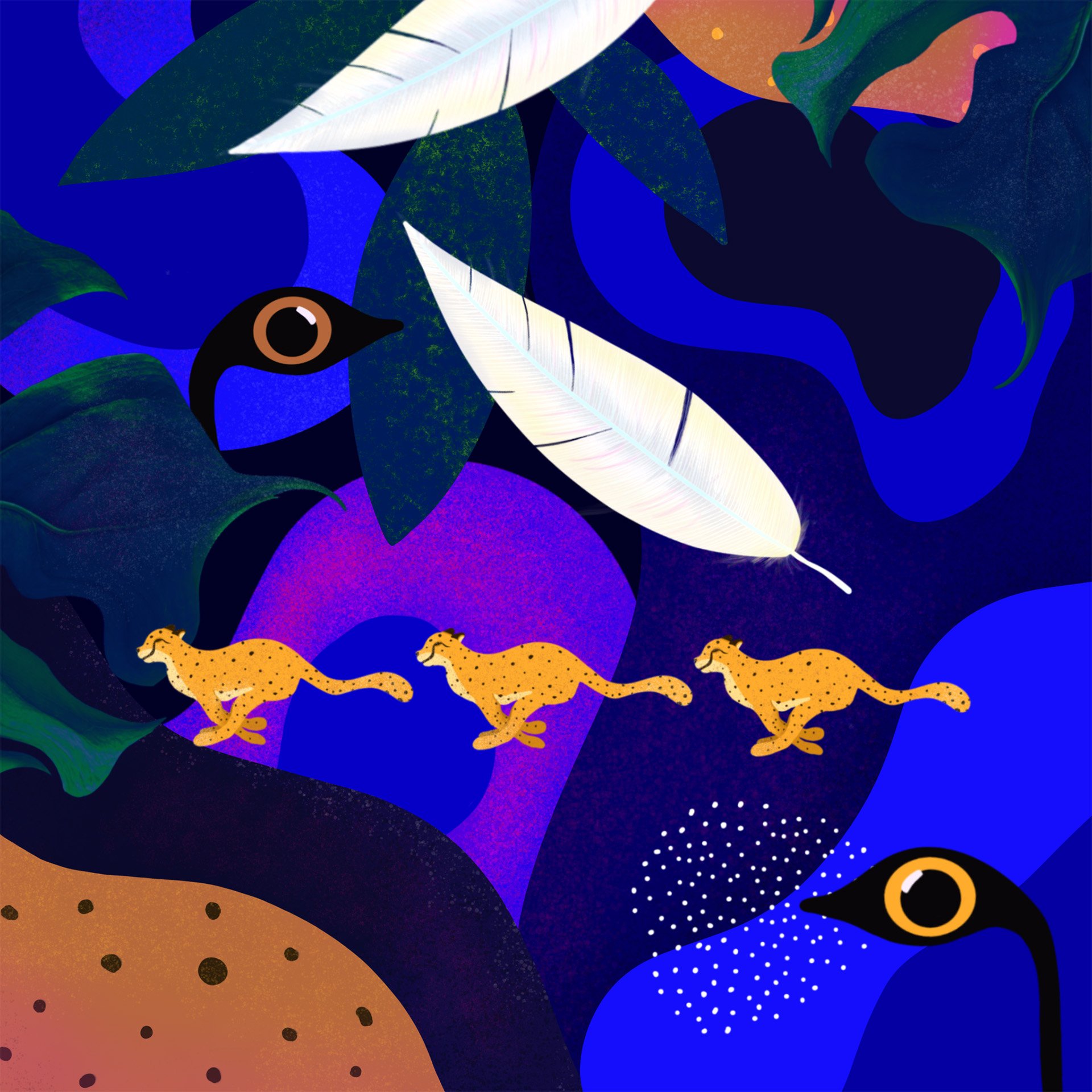 MfH open illustration.jpg