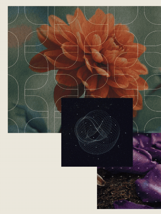 Arrangement of three images: a large orange flower with geometric grid overlay, a digital globe with interconnected lines and dots, and a purple flower with soil and a starry background.