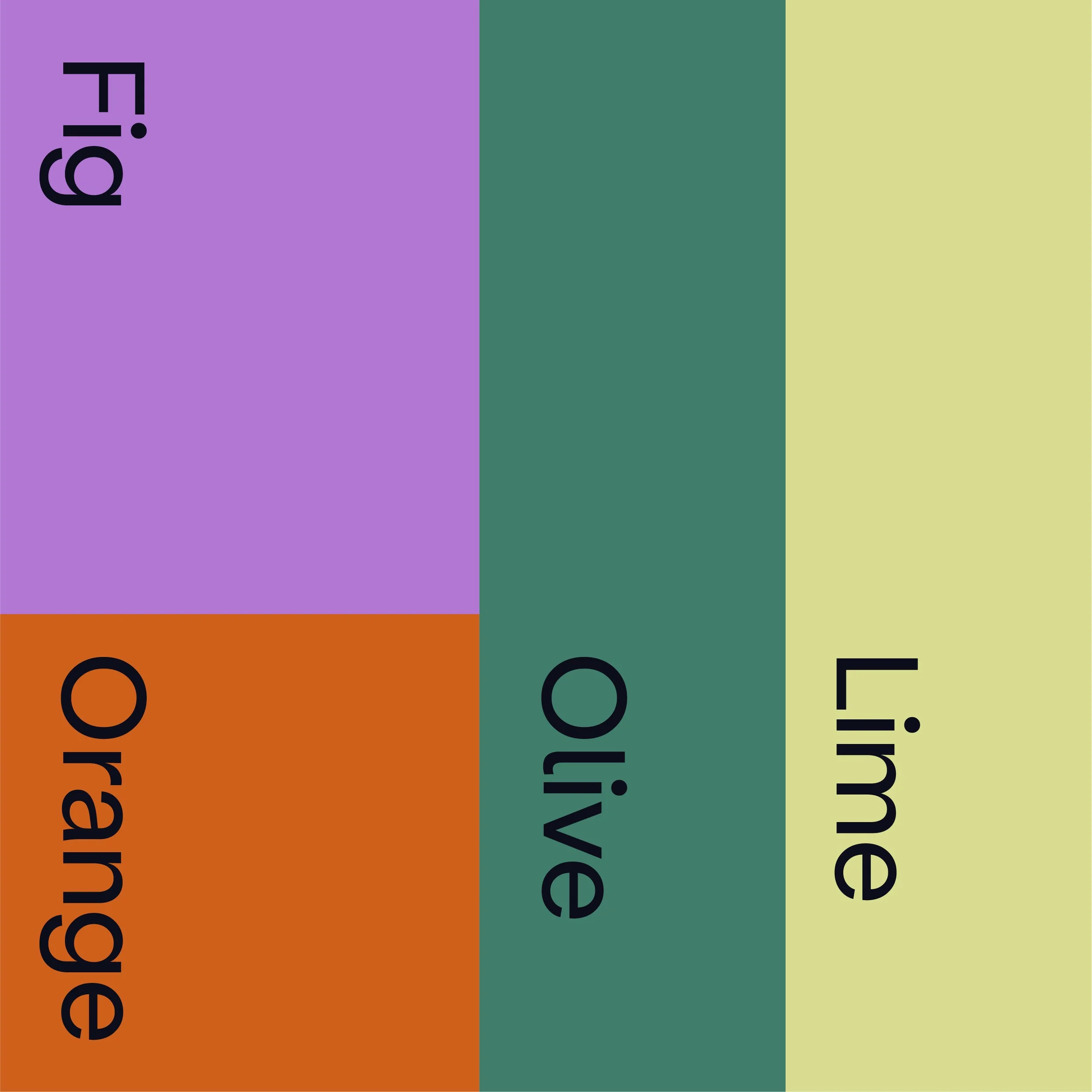 Seidrlab_guidelines 3.jpg
