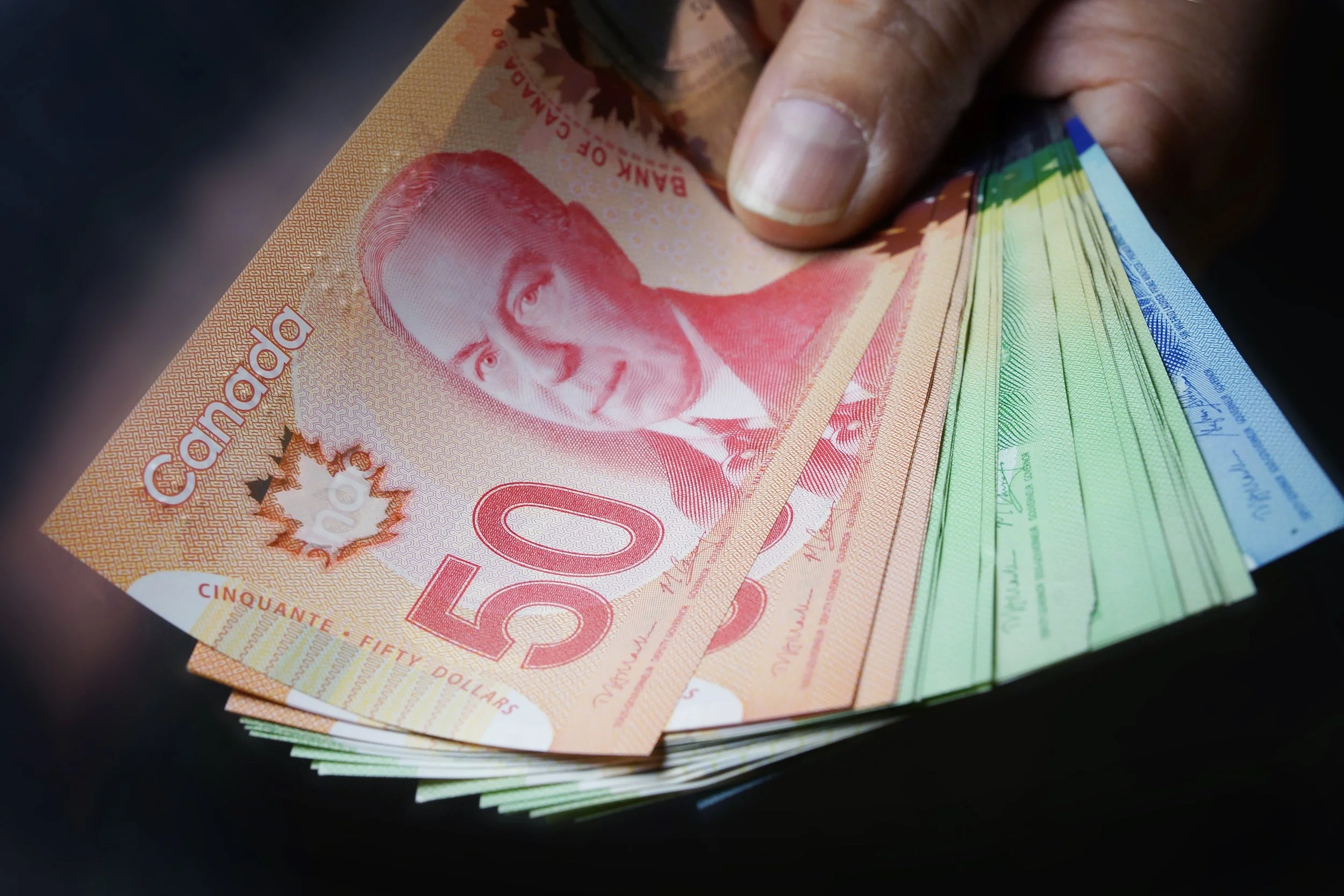 How Much Does a Traffic Ticket Cost?… Really?