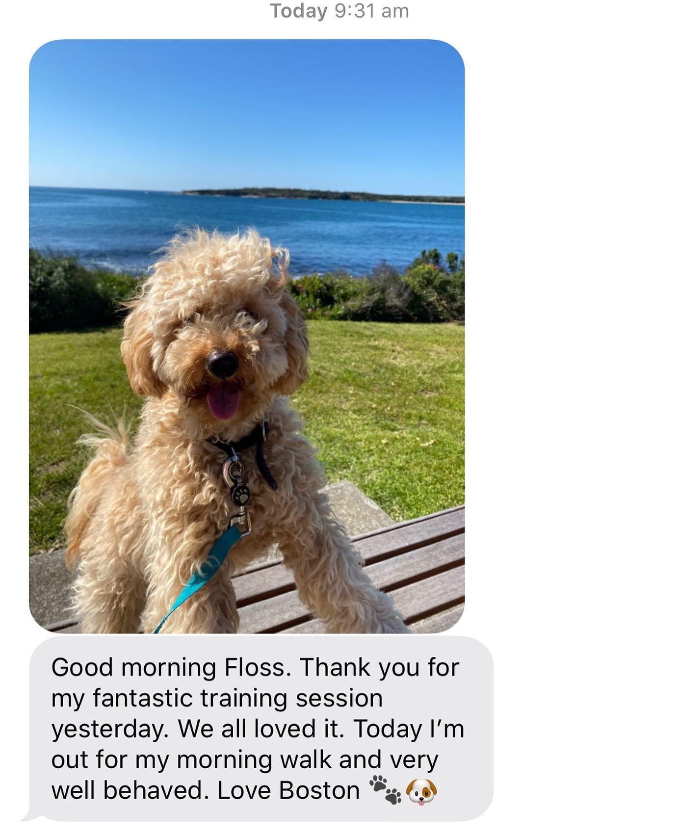 Thanks Boston for this wonderful message this morning! 🐶 Love getting messages like this 🙌🏼 #txtsfromdog #opposablethumbs #dogsdoingthings #dogtraining #proud #waggingschool