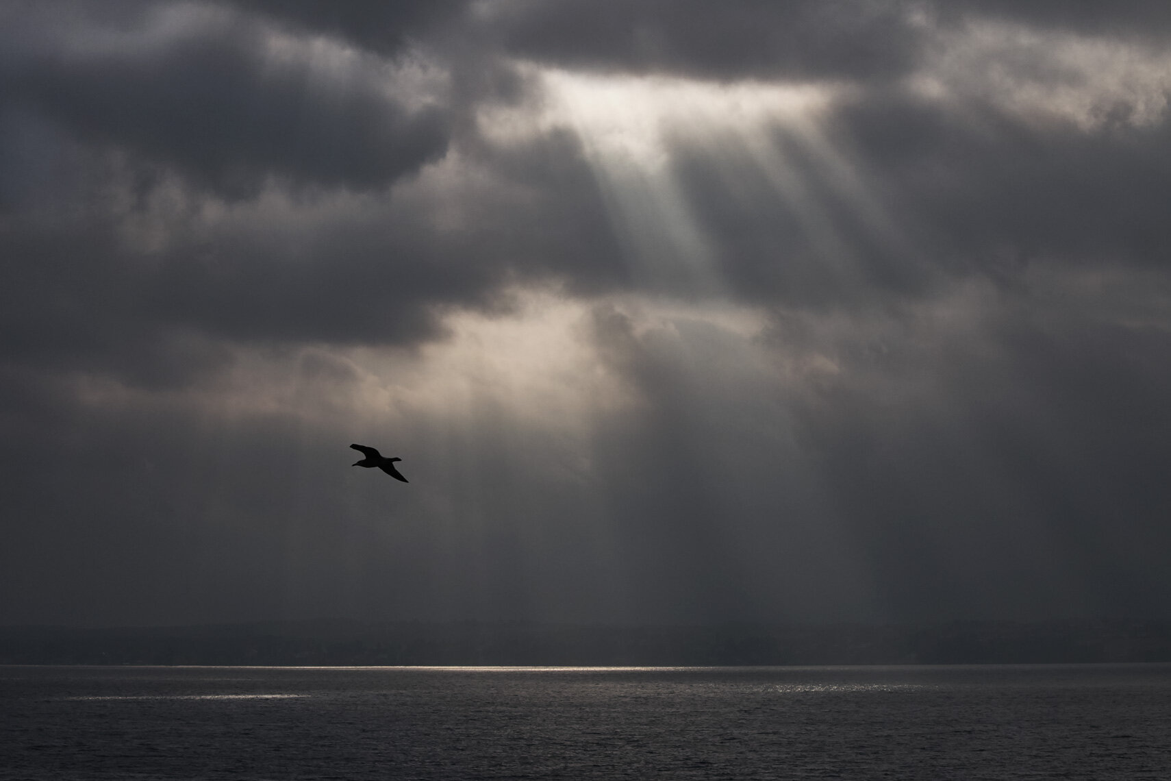 20141002_TwoWindows_untitled-62345.jpg
