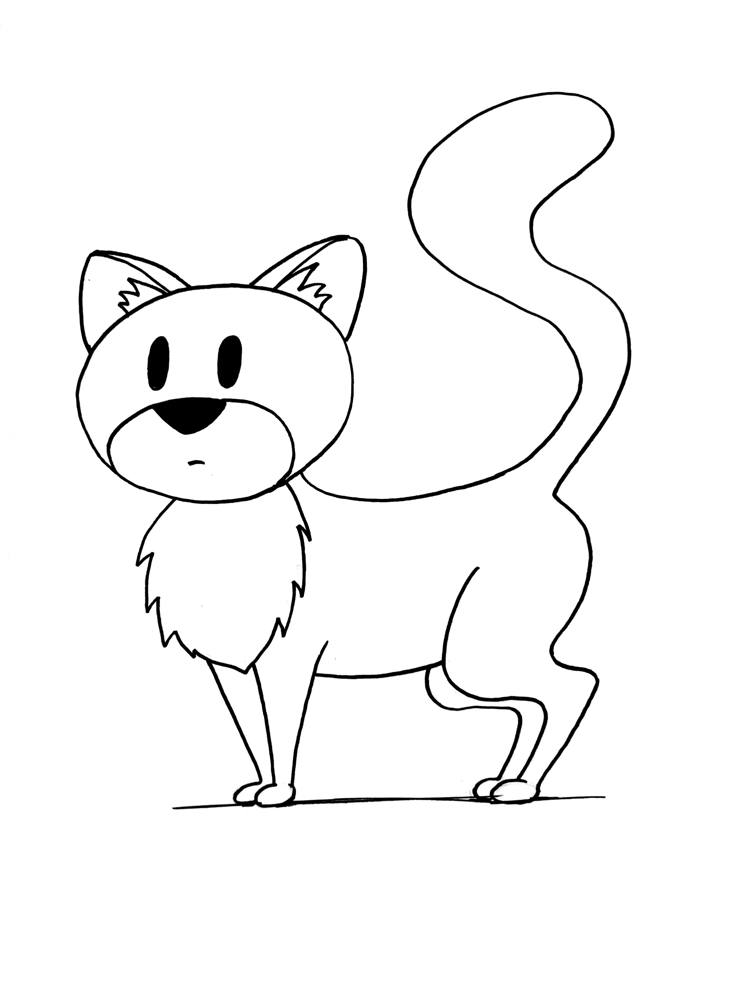 Demon the Neighborhood Cat