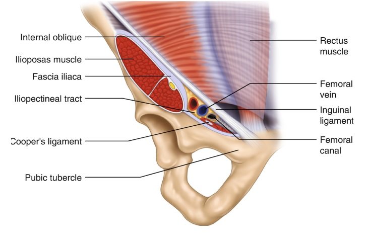 The Ulnar Canal - Guyon's - Borders - Contents - Compression -  TeachMeAnatomy