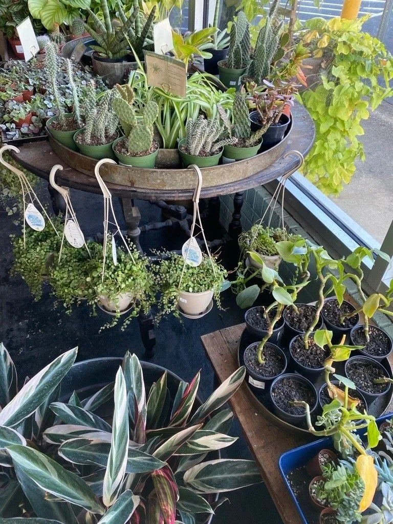 Riparian Provision Company