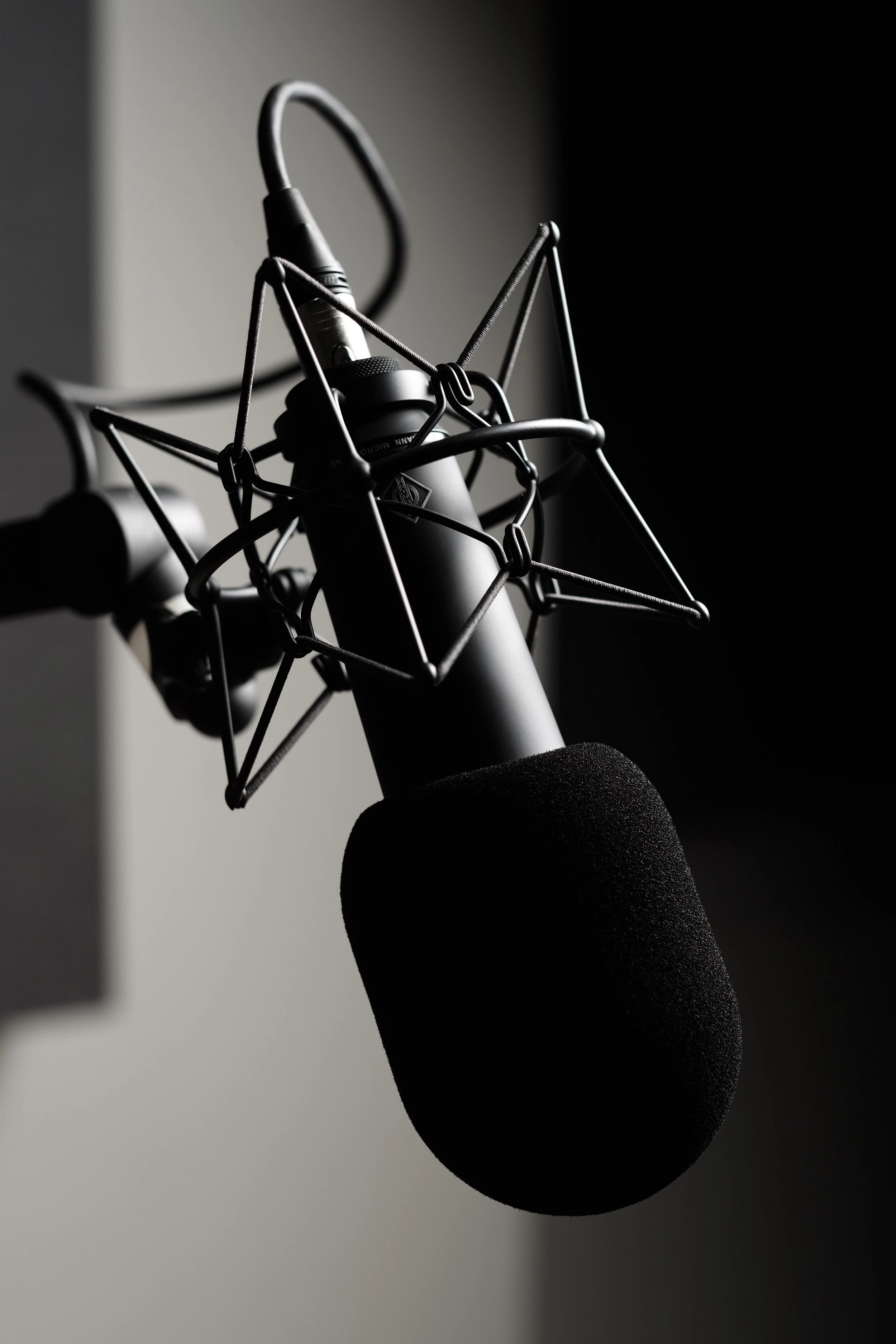 Close-up of a professional studio microphone with a pop filter, suspended in a shock mount against a dark background.