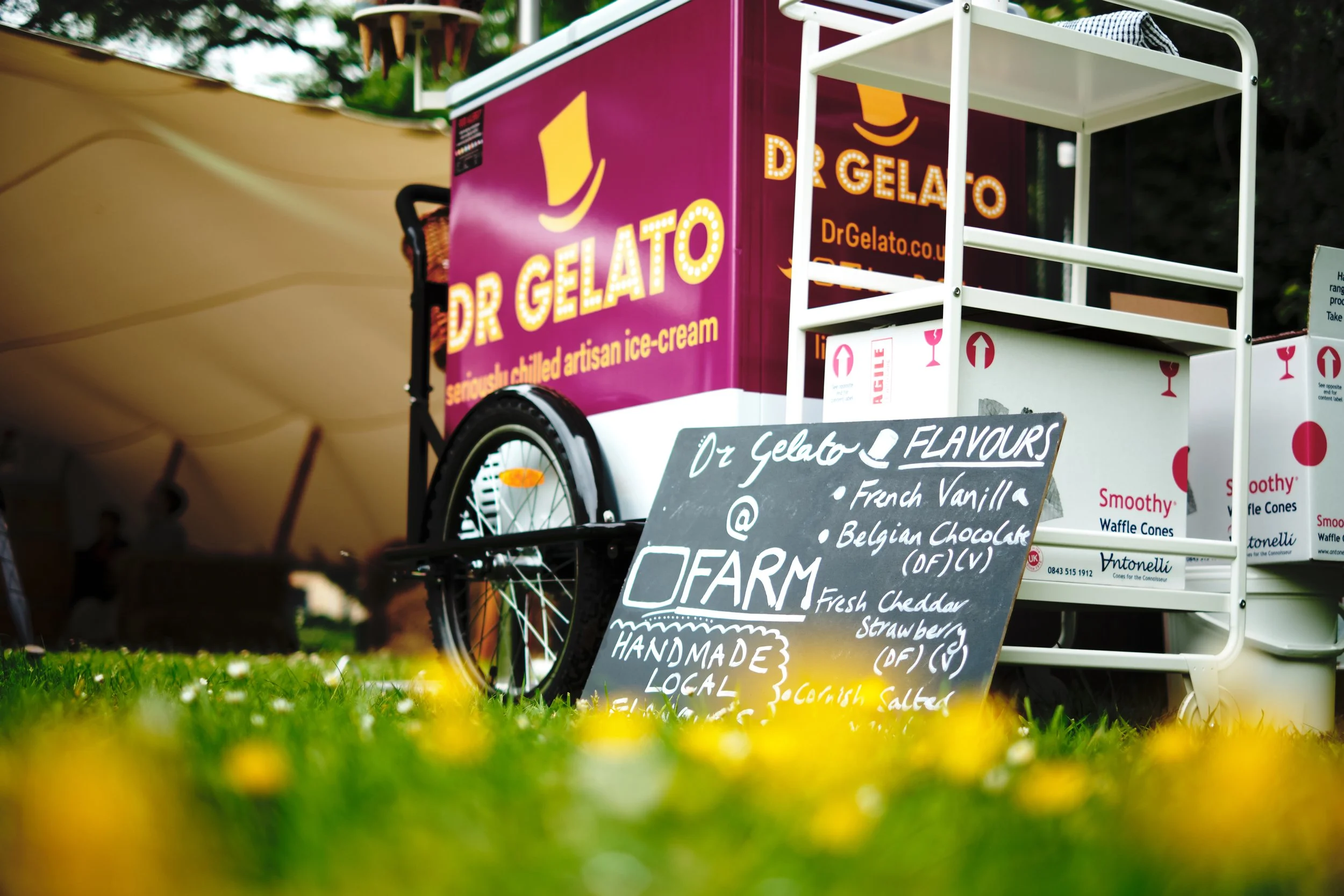 A mobile ice cream cart with a bright pink sign that reads 'Dr Gelato.' In front of the cart, there is a chalkboard menu detailing flavors like French Vanilla, Belgian Chocolate, and Fresh Cheddar Strawberry. The cart is on a grassy outdoor area with